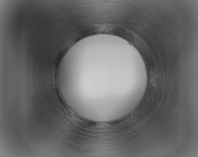 X0000074310514200608251008