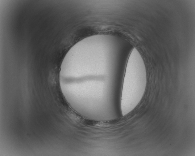 X0000074310515200608251008