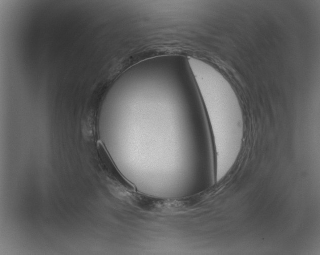 X0000074310517200608251008