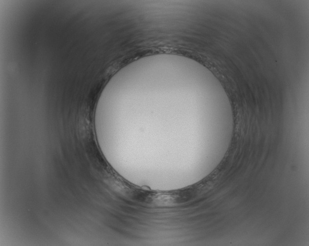 X0000074310518200608251008
