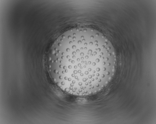 X0000074310519200608251008