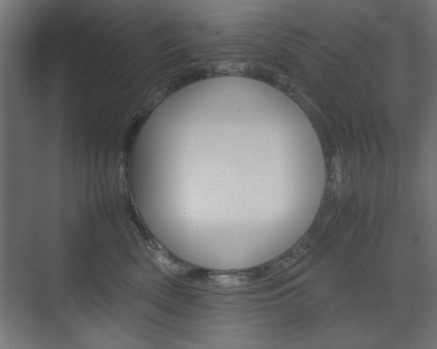 X0000074310522200608251008
