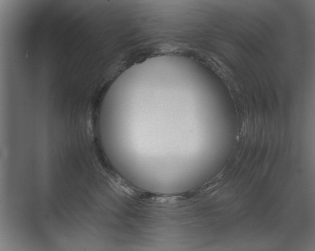 X0000074310524200608251008