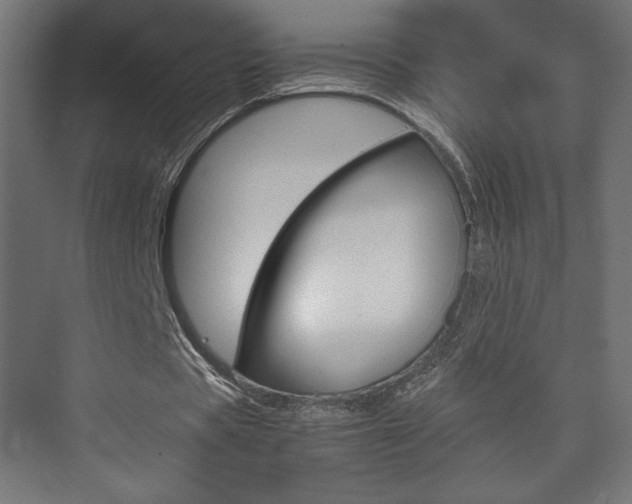 X0000074310529200608251007