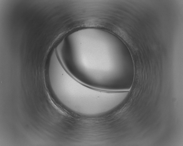 X0000074310530200608251007