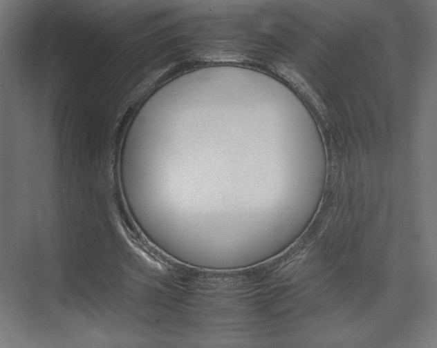 X0000074310533200608251007