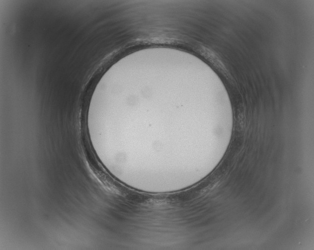 X0000074310534200608251007
