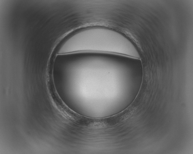 X0000074310536200608251007