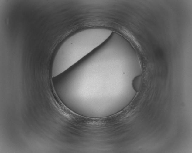 X0000074310537200608251007