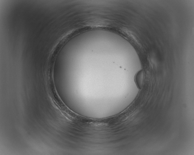 X0000074310539200608251007