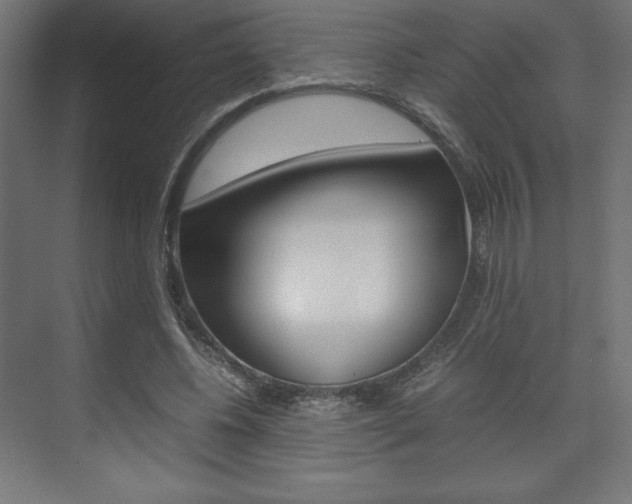 X0000074310540200608251007