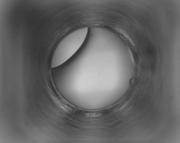 X0000074310541200608251007