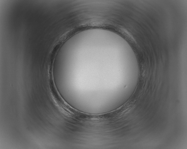 X0000074310542200608251007