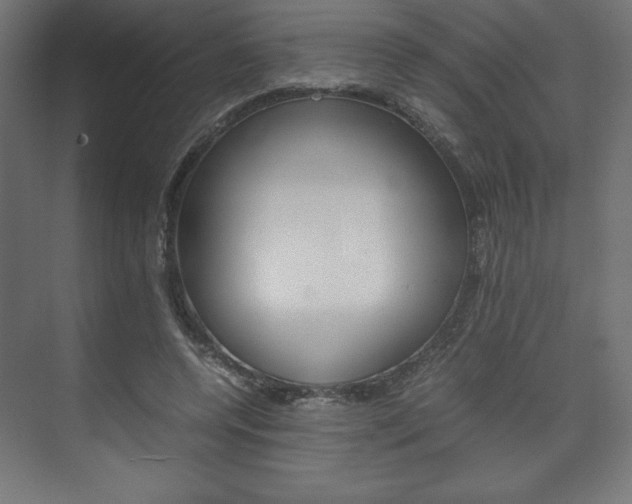 X0000074310544200608251007
