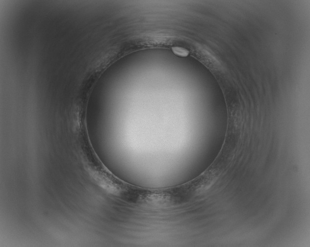 X0000074310546200608251007