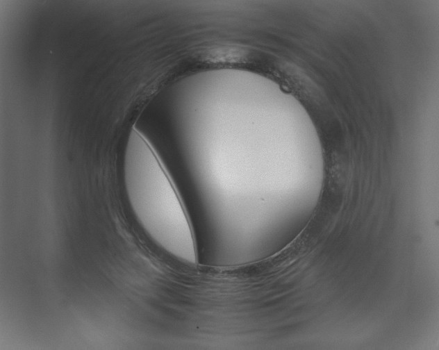 X0000074310547200608251007