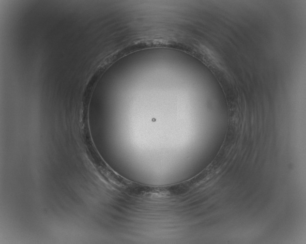 X0000074310548200608251007