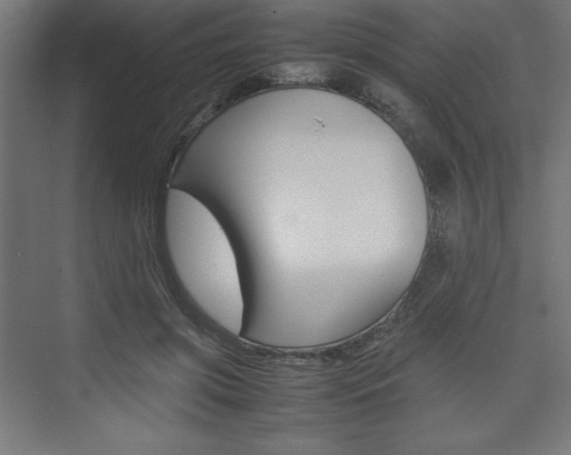 X0000074310549200608251007
