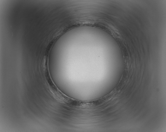X0000074310550200608251007