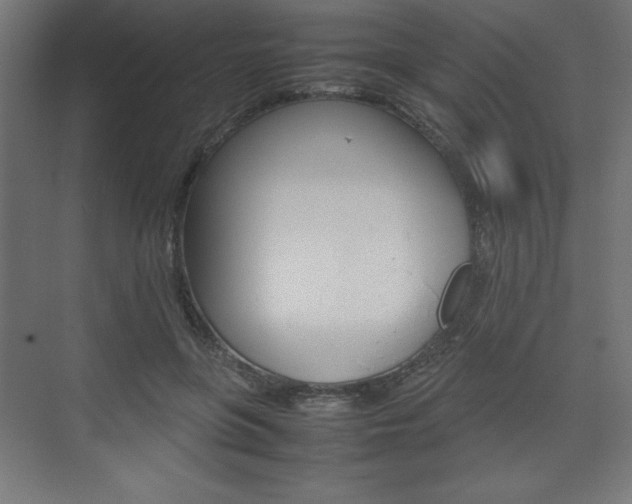 X0000074310551200608251007