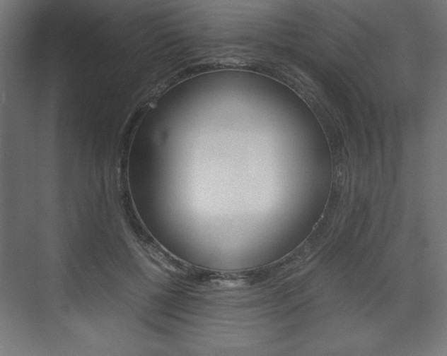 X0000074310552200608251007