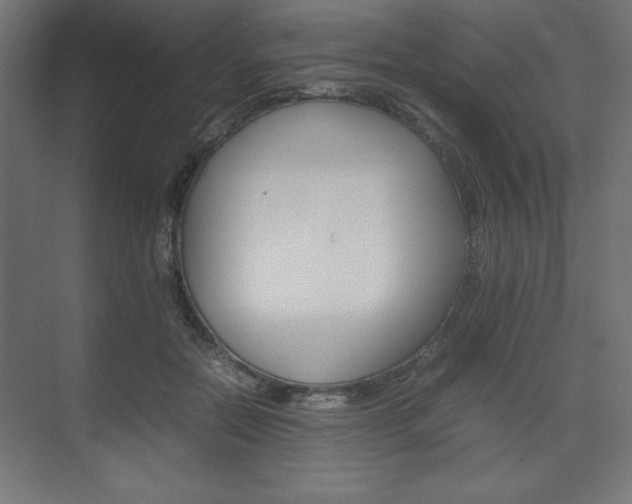 X0000074310554200608251007