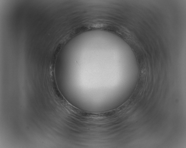 X0000074310555200608251007