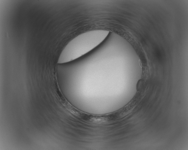 X0000074310557200608251007