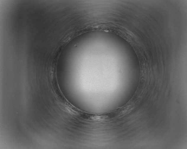 X0000074310558200608251007