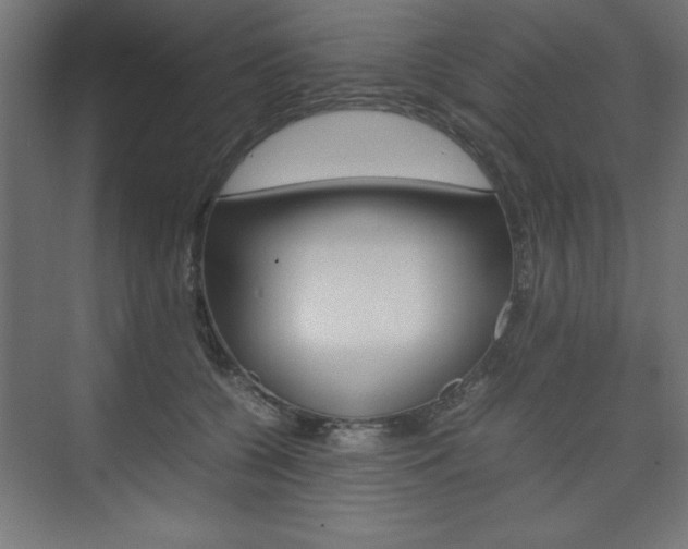 X0000074310560200608251007