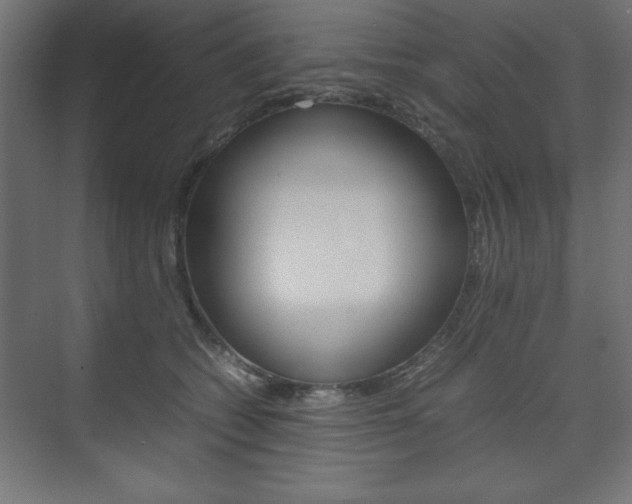X0000074310562200608251007