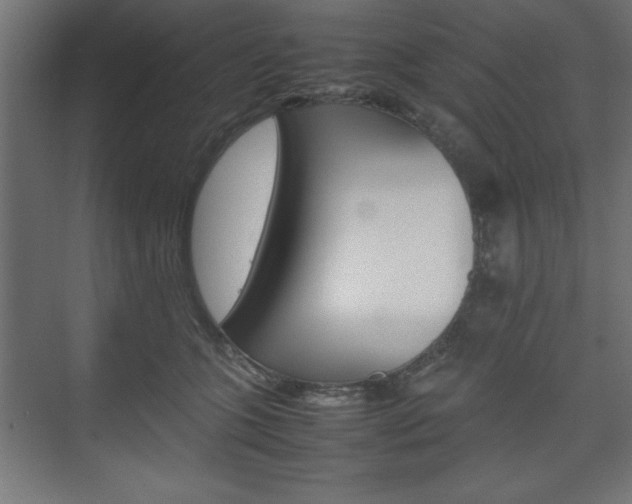 X0000074310563200608251007