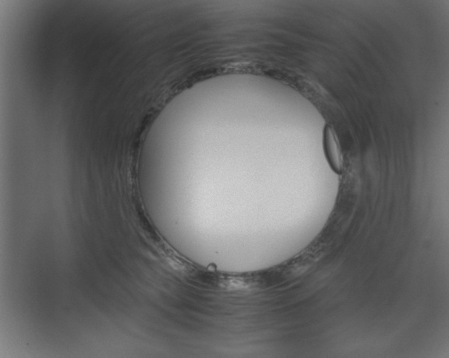 X0000074310565200608251008