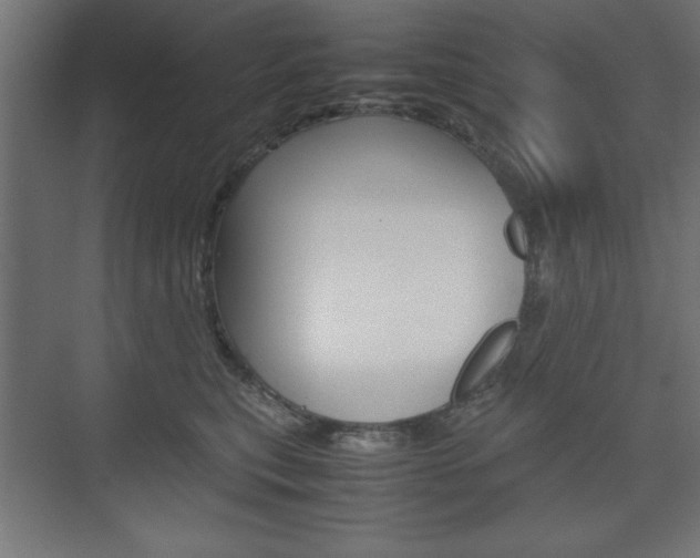 X0000074310567200608251008