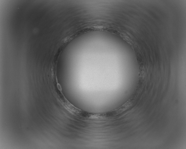 X0000074310568200608251008