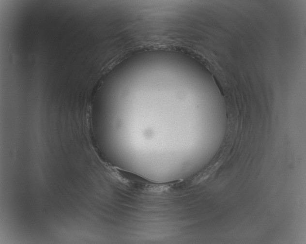 X0000074310576200608251008