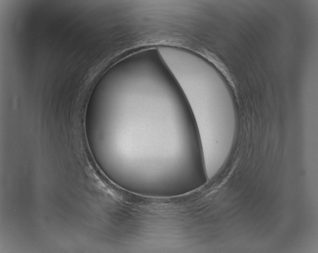 X0000074310577200608251007