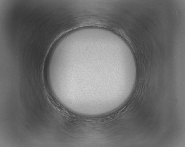 X0000074310579200608251007