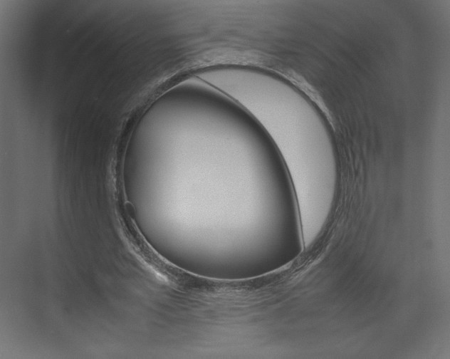X0000074310581200608251007