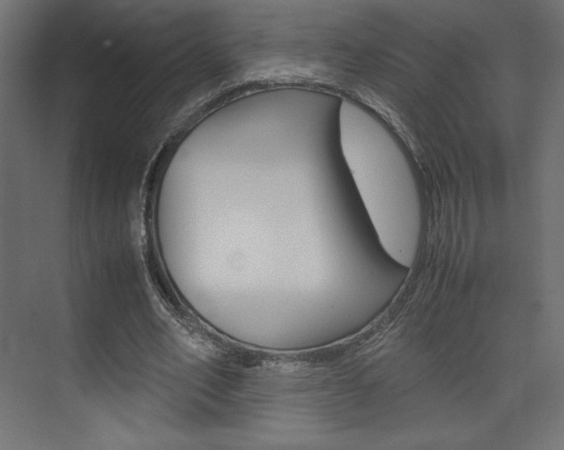 X0000074310582200608251007