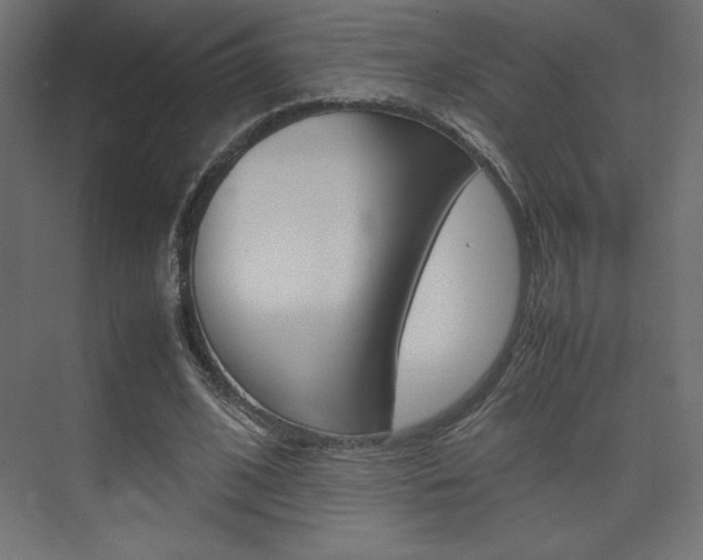 X0000074310584200608251007