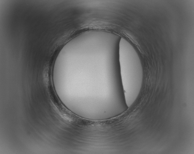 X0000074310586200608251007