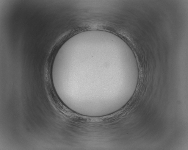 X0000074310587200608251007