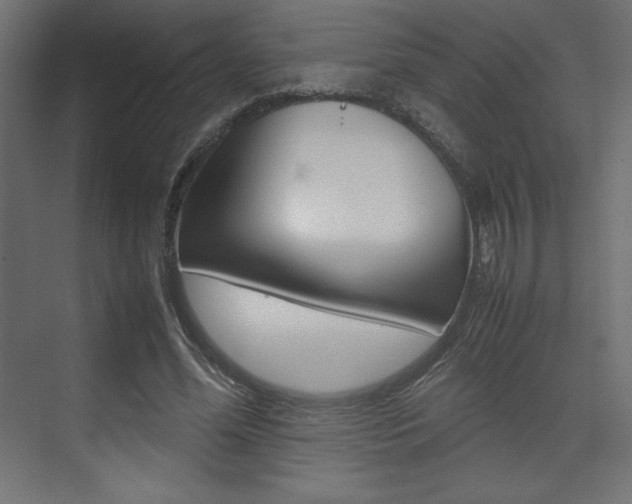 X0000074310588200608251007