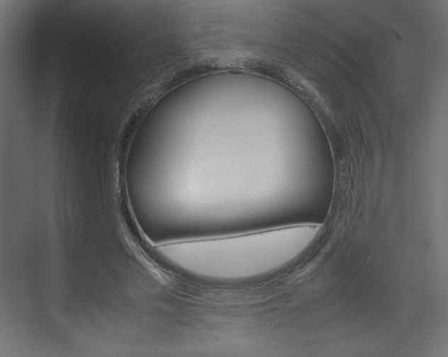 X0000074310589200608251007