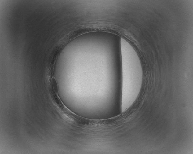 X0000074310593200608251007