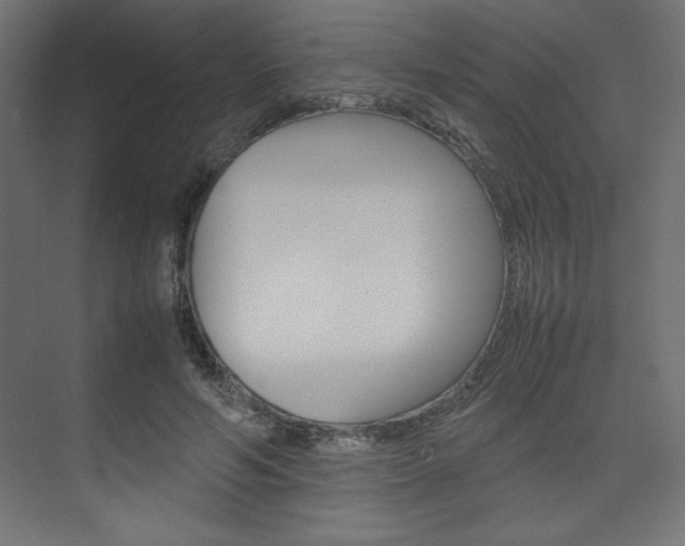 X0000074310594200608251007