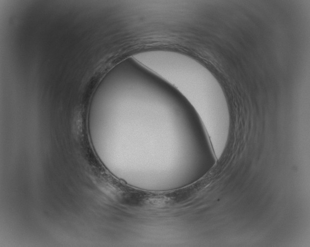 X0000074310595200608251007