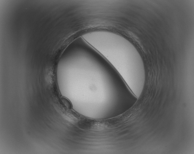 X0000074310596200608251007