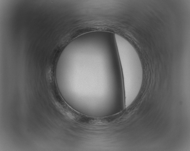 X0000074310597200608251007